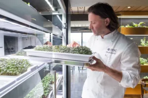 MSC Cruise Lines and Babylon Micro-Farms Partnership Create a World’s First Hydroponic Farm at Sea